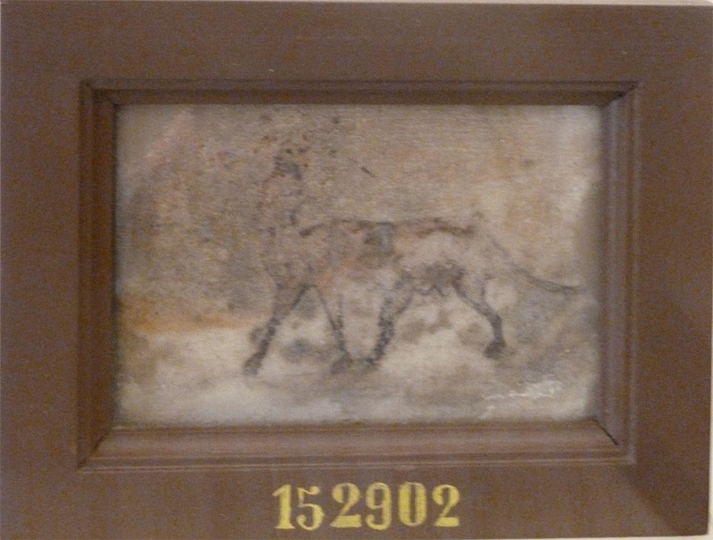Ins. Orientalis I.1, Herculaneum.
Two monochrome paintings on small slabs of marble were found together in the peristyle, on 9th November 1934.
Painting on marble of a sphynx, but in a bad state of conservation.
Now in Naples Archaeological Museum. Inventory number 152902.
See Sampaolo V. and Bragantini I., Eds, 2009. La Pittura Pompeiana. Electa: Verona, p. 118, 13b.
According to Guidobaldi (2006), these may have been found in the atrium of the House of Telephus Relief, Ins. Or. I, 2.